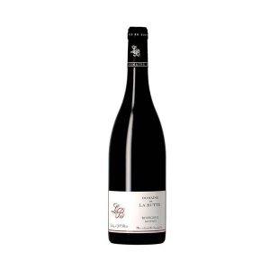 Bourgueil Mi-Pente 2019 Jacky Blot