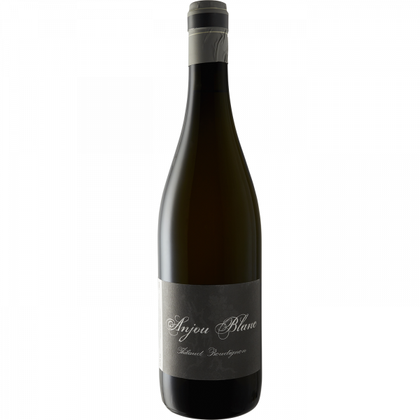 Anjou blanc 2009 Boudignon